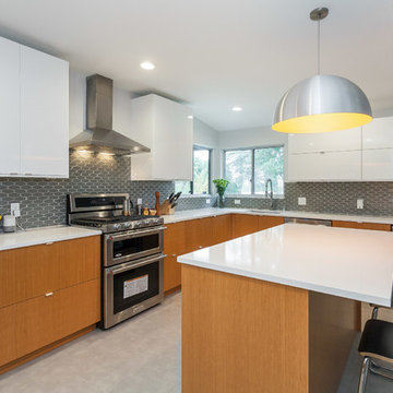Modern Ikea kitchen - Woodland Hills