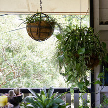 Garden Stuff