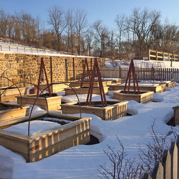 Farmhouse Kitchen Garden: winter