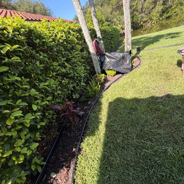 Outdoor Landscape Transformation