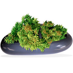 Islan Rock Planter - Products