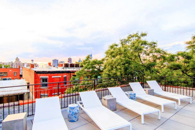 Cobble Hill Brooklyn-Apartment & Roof Top Renovation