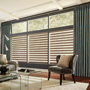 Transitional Shades