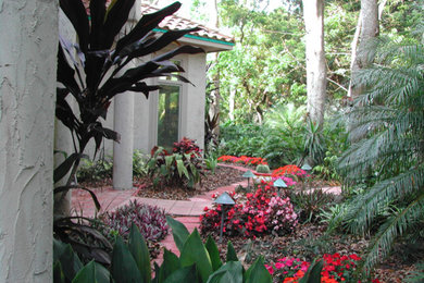 Design ideas for a tropical home design in Tampa.