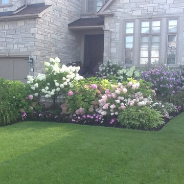 Garden With Bursting Colour