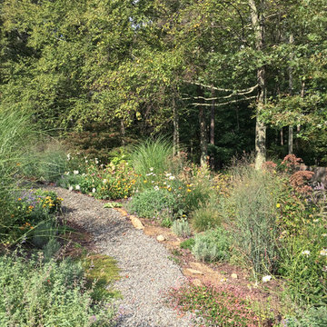 Rethinking the Front Lawn - Try a Native Perennial Garden Instead!