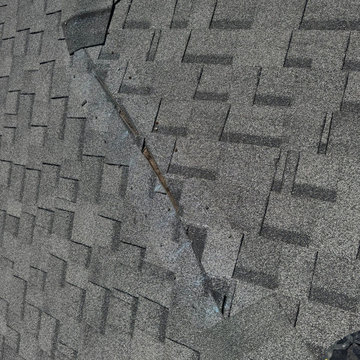 Our Work