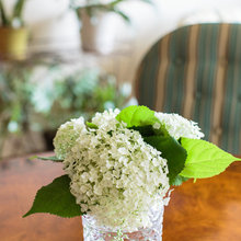 Floral Arrangements
