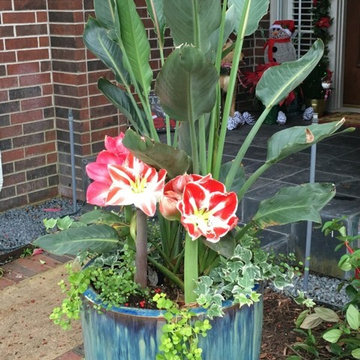 Front Yard Container in Spring Valley Village, Texas