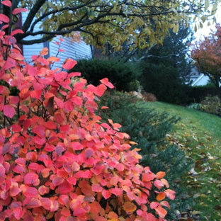 Exemple d'un jardin.
