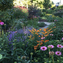 GARDEN IDEAS