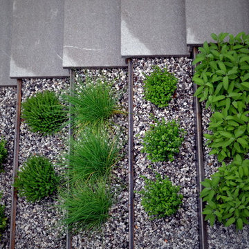 Perrenial garden