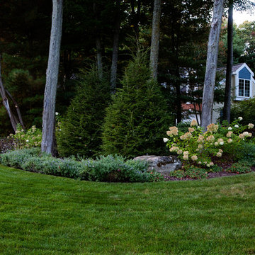 Front Yard Renovation