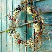 Kim Norton Tunnell's photo