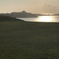 Emma Heaver Architect's profile photo