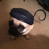 Jenn Kaplan's photo