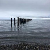 Brandy Shymanski's photo