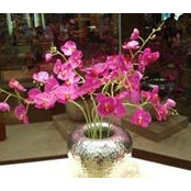 Jane Katongole-Kamara's photo