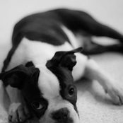 Madelene Lopez's photo