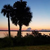 Jerri Schiffmann's photo