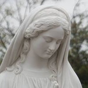 Mary Schlesinger's photo