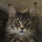 Marcie Heil's photo
