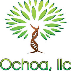 Ochoa, LLC