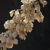 Jorrie Bruffett's photo