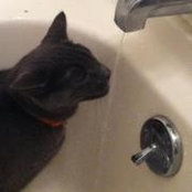 Nichole Dimmig's photo