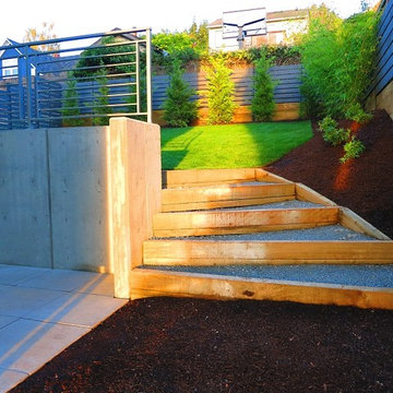 Modern Landscape