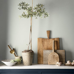 Benjamin Moore Paint Projects - Products