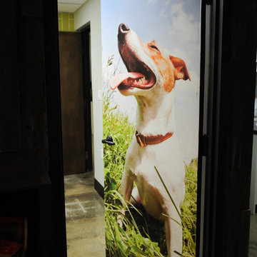 Guildford Animal Hospital