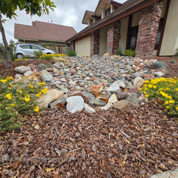Irvine Turf Rebate Front Yard