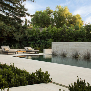 Infinity Pool Lap Pool