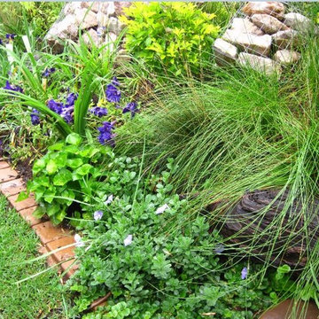 Contemporary Tropical Garden