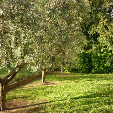 Villa di campagna
