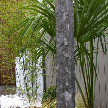 Jardin urbain pour une création moderne