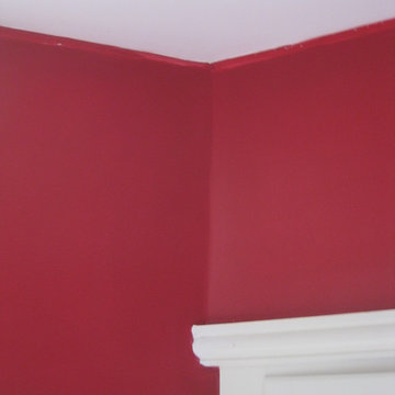 Plaster Ceiling Removal/Replacement and Repaint