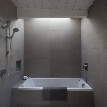 Midcentury Modern View Home Remodel