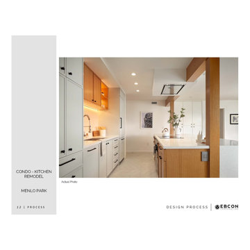 Award-Winning Contemporary Kitchen Remodel
