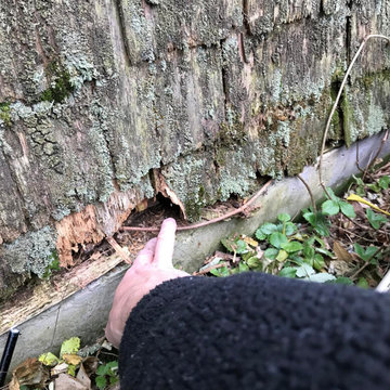 Severe wood deterioration