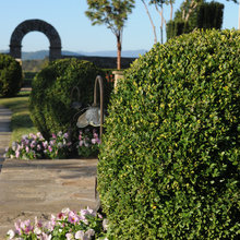 garden ideas