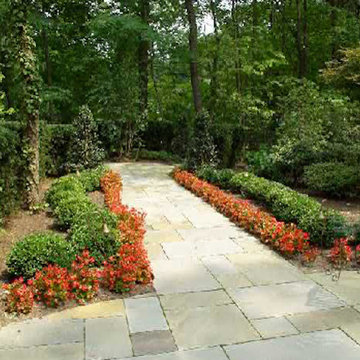 Our Work