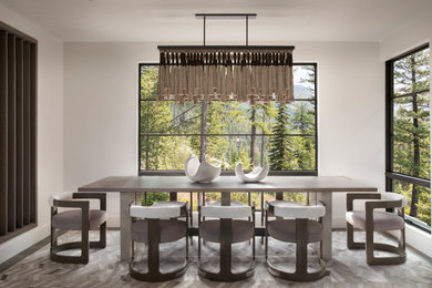 Dining room - scandinavian dining room idea in Other