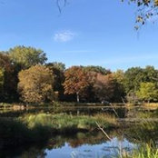 Wendy Clark's photo