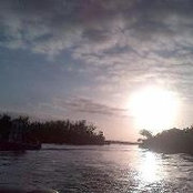 Foto von Su Silverthorn