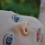 David Sobota's photo