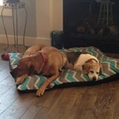 Mandy Searle's photo