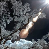 Seth Weissman's photo