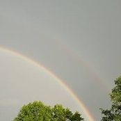 Karen Wirtz's photo